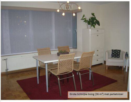 grote living met veel licht, mooi parket