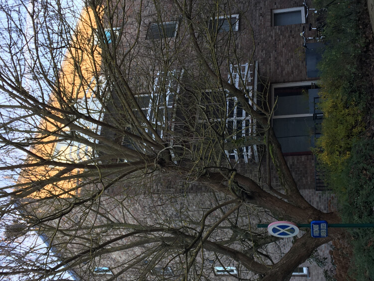 gelegen op de derde verdieping, dus lekker rustig